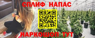 дживик Кунгур