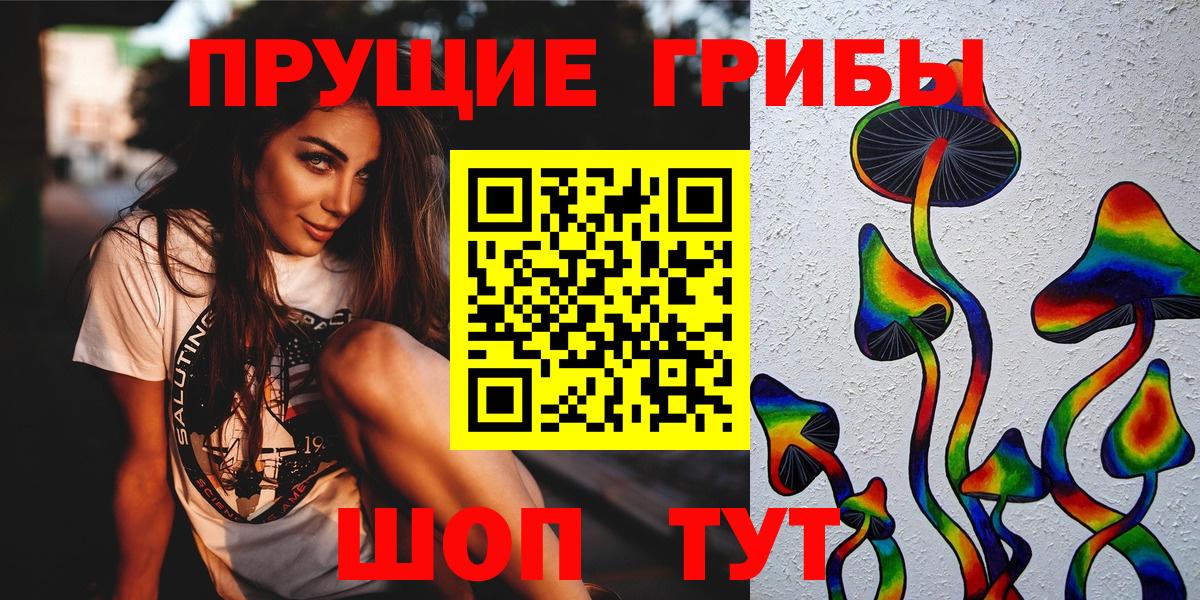 Псилоцибиновые грибы прущие грибы  Псилоцибиновые грибы Cubensis  Заволжье  Вход с VPN 